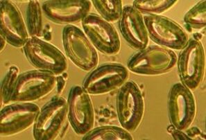 Laboratorijski testovi